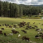 Agriturismo Biosila Farm stay