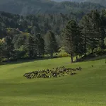 Agriturismo Biosila Farm stay *