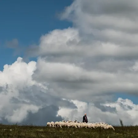Çiftlik konaklama Biosila