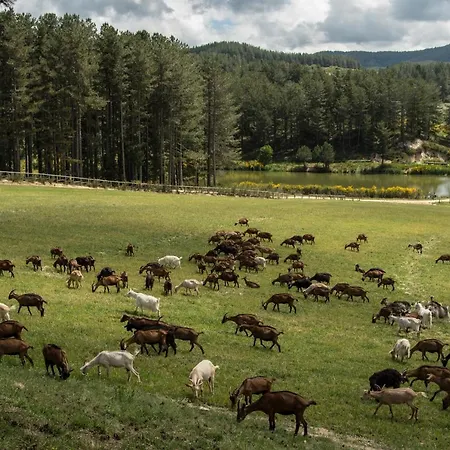 Biosila Séjour à la ferme
