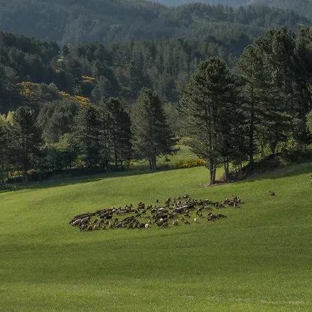 Biosila Séjour à la ferme *