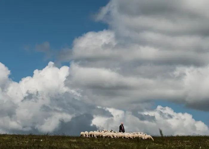 Alojamento de Turismo Rural Biosila