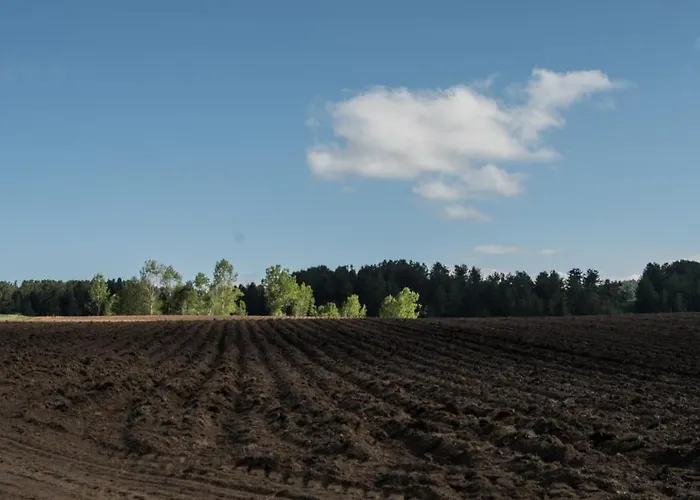 Biosila Alojamento de Turismo Rural