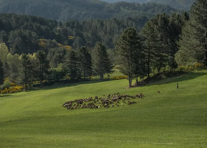 Biosila Alojamento de Turismo Rural *