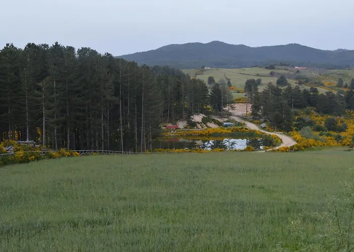 Alojamento de Turismo Rural Biosila