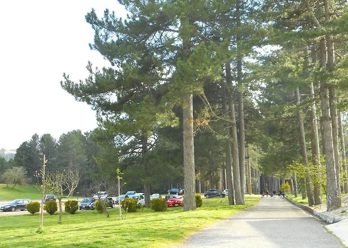 Alojamento de Turismo Rural Biosila